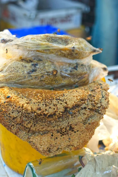 Peine de abeja en el tanque de plástico — Foto de Stock