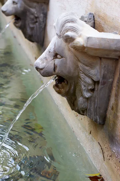 Leeuw standbeeld spugen water. — Stockfoto