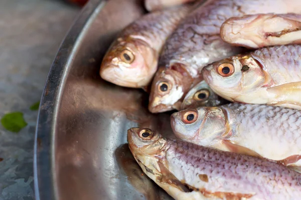 Pescado fresco en el mercado. —  Fotos de Stock