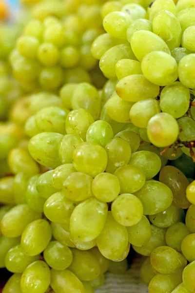 Uvas frescas como textura de fondo — Foto de Stock