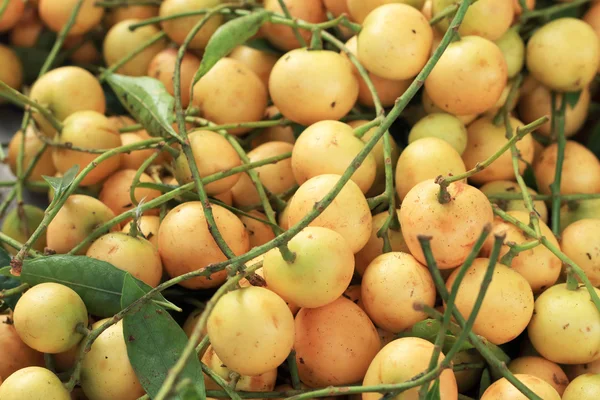 Close up marian plum fruit - asia fruit. — Stock fotografie