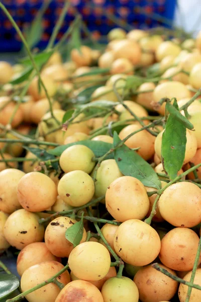 Close-up van marian pruim fruit - Azië vruchten. — Stockfoto