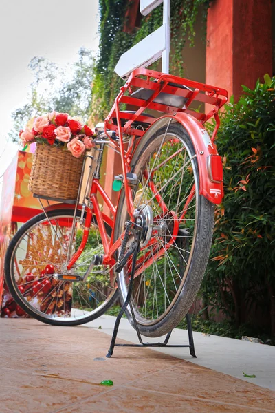 Vintage Bicycle — Stock Photo, Image