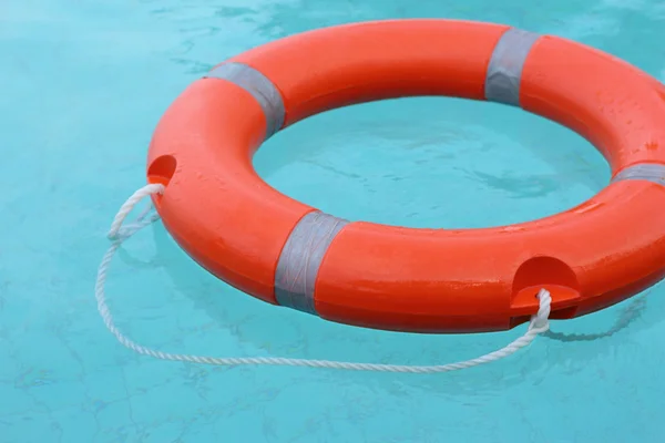 Boa ad anello in piscina . — Foto Stock