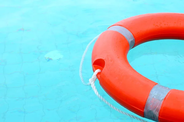 Boa ad anello in piscina . — Foto Stock