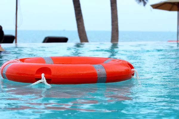 Boa ad anello in piscina . — Foto Stock