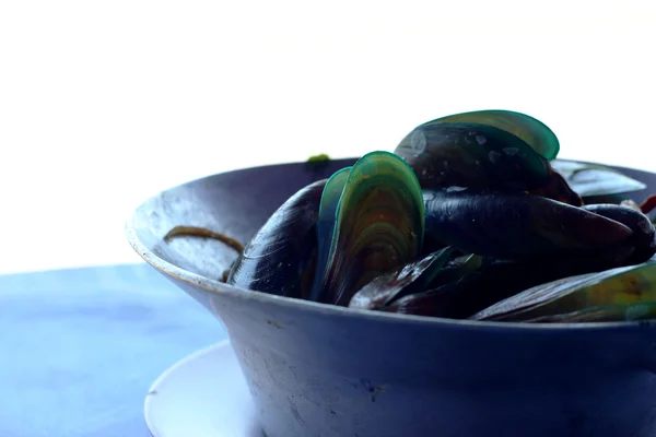 Green mussel — Stock Photo, Image