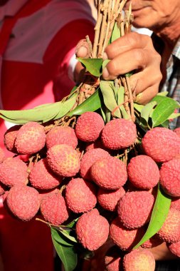 A lot of lychee in the markets clipart