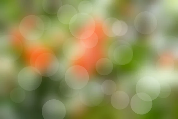 Bokeh renkli arka plan — Stok fotoğraf