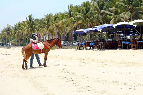 Лошади на пляже — стоковое фото
