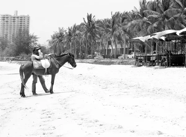 Pferde am Strand — Stockfoto