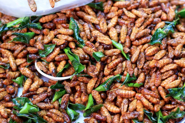 Gusanos de seda fritos en el mercado — Foto de Stock