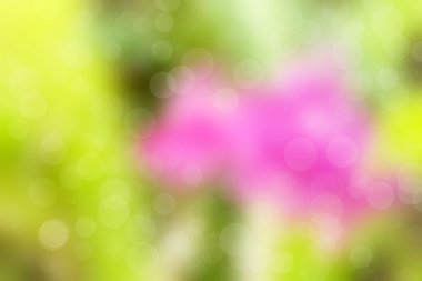 bokeh renkli arka plan