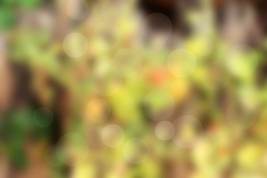 bokeh renkli arka plan