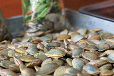 Markette taze deniz ürünleri