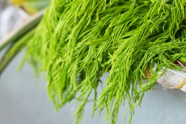 Akasya pennata Tay taze Pazar