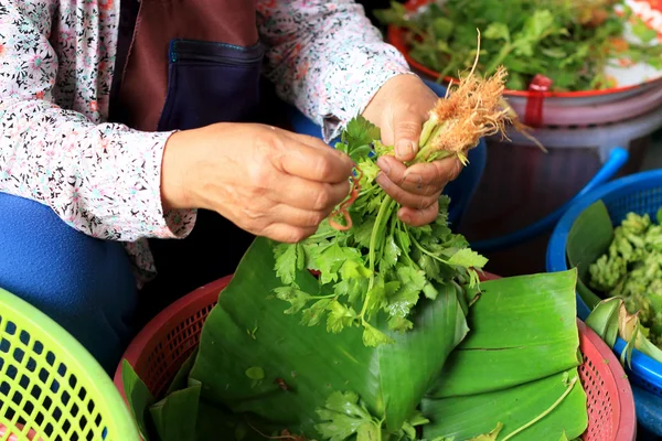Mulheres vendem coentro legumes frescos — Fotografia de Stock
