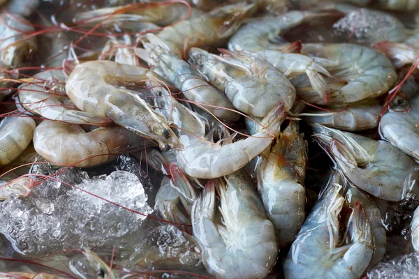 Fresh shrimp in market — Stock Photo, Image