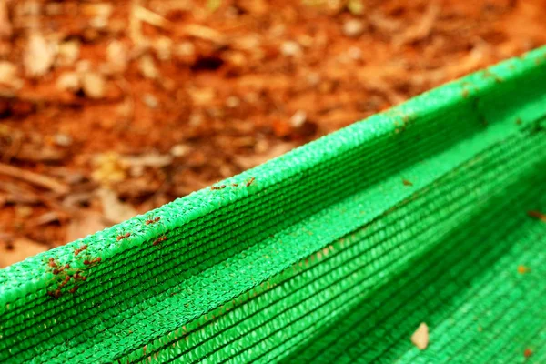 Green cloth blocked for construction. — Stock Photo, Image