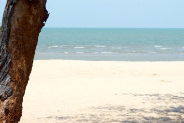 Ağaçlar deniz plaj tropikal Tayland. 