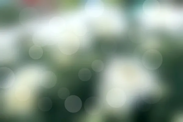 Bokeh green light background — Stock Photo, Image