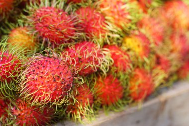 tatlı meyve rambutan piyasada