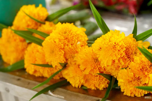 Marigold flower in the market — Stock Photo, Image