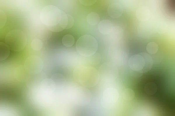 Bokeh sfondo luce verde — Foto Stock