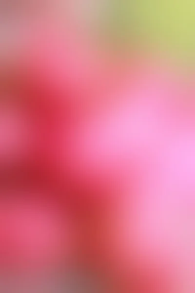 Blurred pink light background texture — Stock Photo, Image