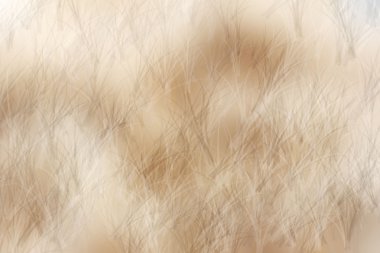 Vintage ışık izleri bulanık