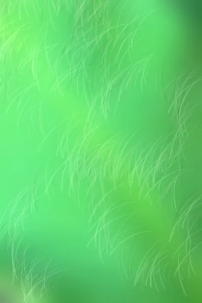 Размытые зеленые световые дорожки — стоковое фото