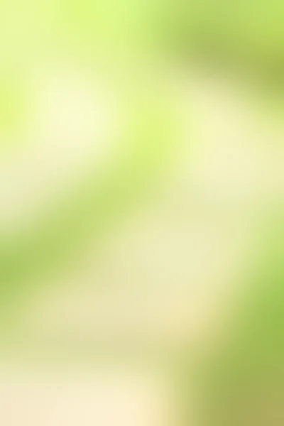 ぼやけた緑色の光背景テクスチャ — ストック写真