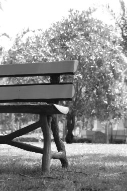 parkta bankta sandalye