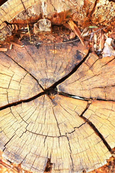 Madera fondo viejo — Foto de Stock