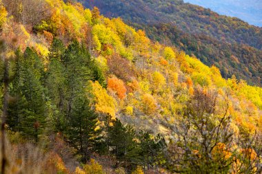 panorama del fogliame autunnale in Val Borbera