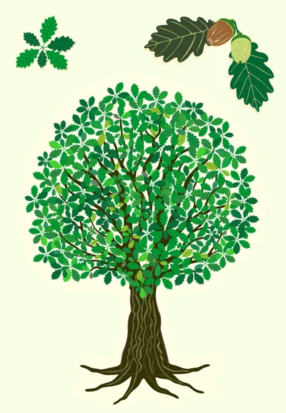 Oak tree — Stock Vector