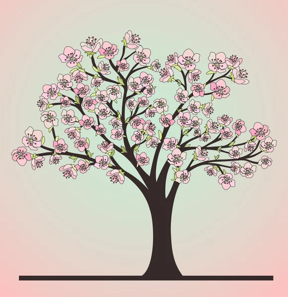 Cherry tree and blossoms — Stock Vector