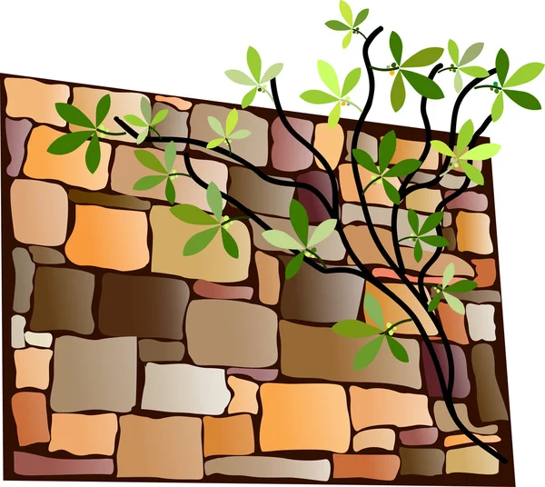 Stone wall background — Stock Vector