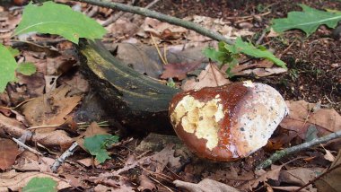 ¿me ves... Te veoBeni görüyor musun? Anlıyorum seni