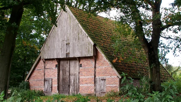 Klasik Hollandalı ahırı