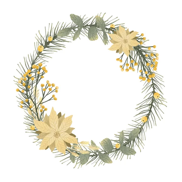 Новорічна Квіткова Колекція Зимовими Декоративними Рослинами Квітами Ілюстрація Малювання Рук — стокове фото