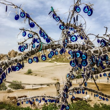 Göreme manzarası, Kapadokya, Türkiye. popüler Türk olan ağaç 