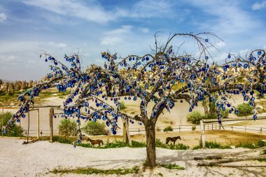 Göreme manzarası, Kapadokya, Türkiye. popüler Türk olan ağaç 