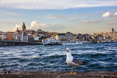Istanbul, Türkiye - Boğaziçi sahil, Istanbul, Türkiye