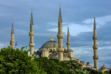 Mavi Cami, İstanbul, Türkiye