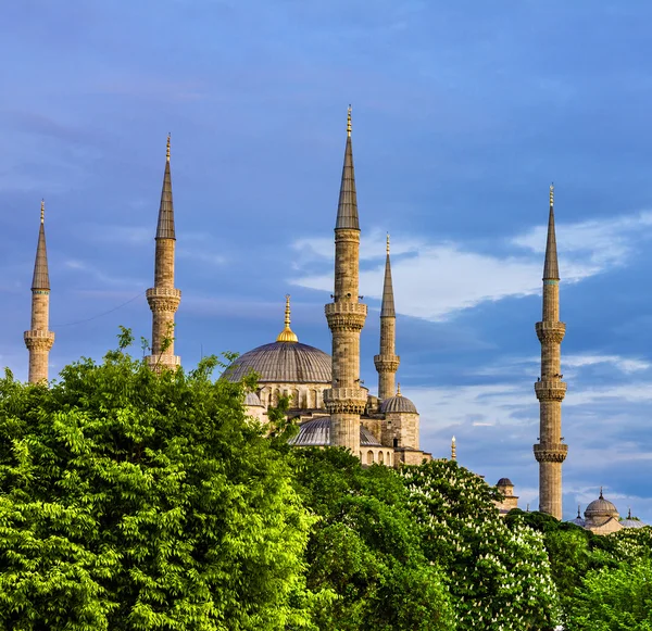 Blue mosque Sultanahmet, Istanbul, Turkey Royalty Free Stock Photos