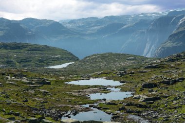 Tundra 'daki dağ gölü yaz manzarası, Norveç