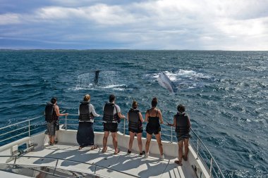 Teknede can yeleği giyen turistler balinaları, Sri Lanka 'yı, Mirissa' yı izliyorlar.