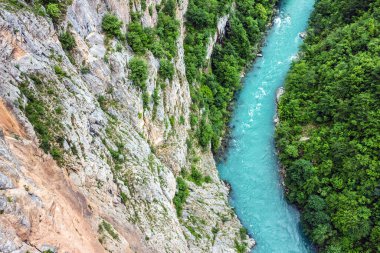 Yeşil tepeler ve dağ nehir. Doğal peyzaj, Karadağ