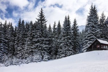 Kış tesisi Jasna, Slovakya, dağ manzarası, orman manzarası